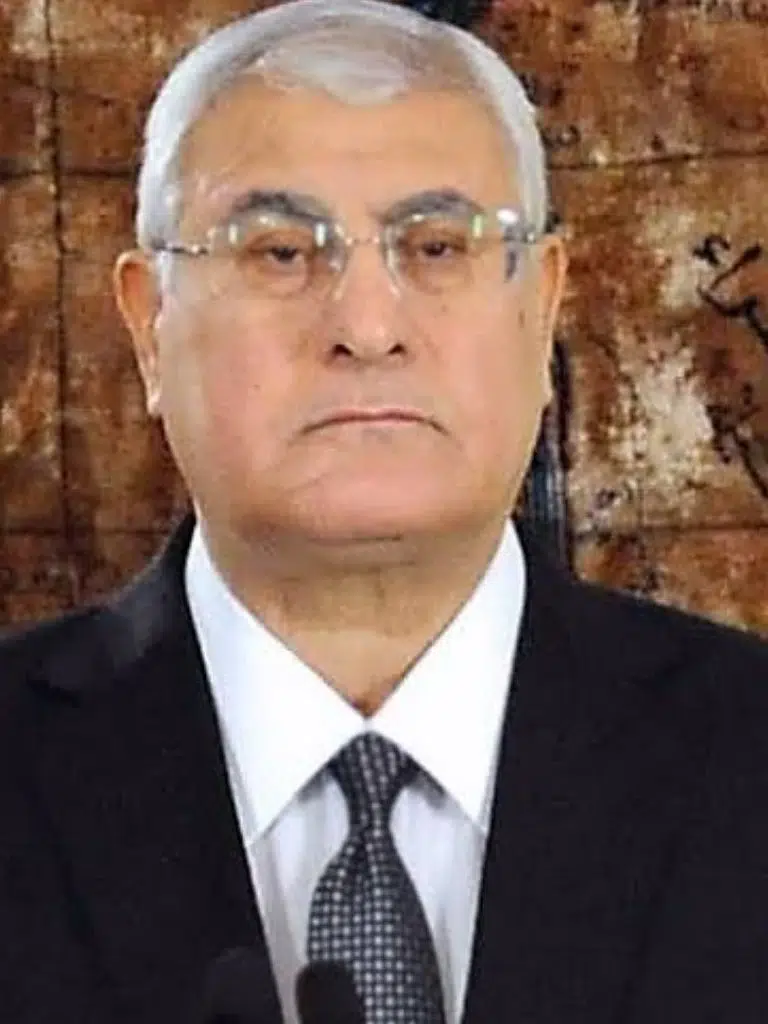 Adly Mansour Biography: Wiki, Age, Career, Height, Weight, Boyfriend, Net Worth & More